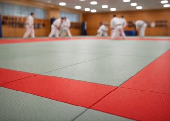 tatamis judo