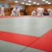 tatamis judo